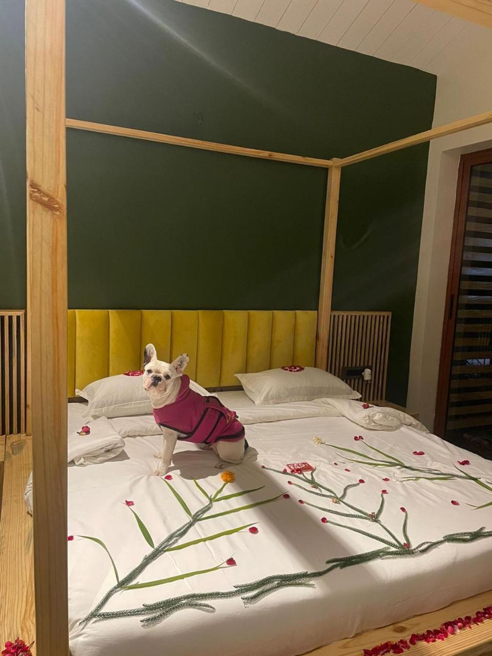 Rawai Luxury Tents פושקאר מראה חיצוני תמונה